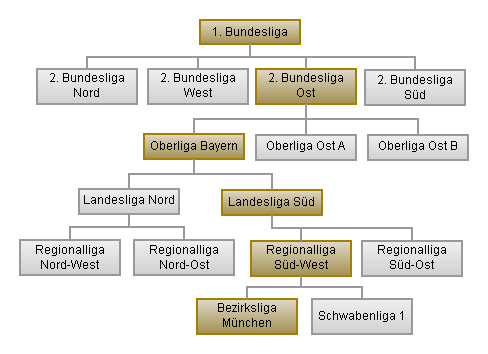 Grafik: Hierarchische Struktur der Schachligen